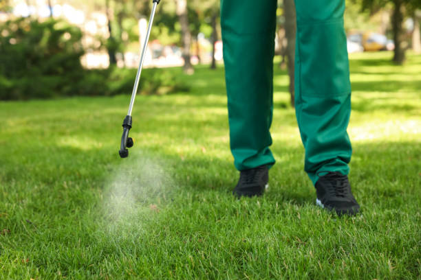 Best Pest Control Near Me  in Six Mile Run, NJ