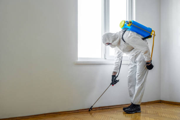 Best Pest Control Near Me  in Six Mile Run, NJ