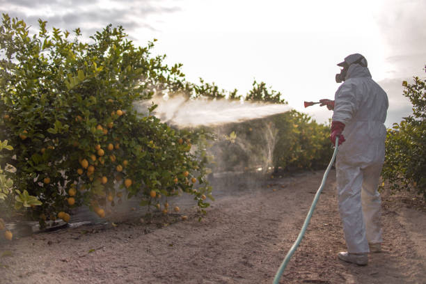 Best Affordable Pest Control Services  in Six Mile Run, NJ