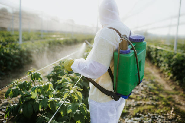 Best Pest Inspection Near Me  in Six Mile Run, NJ